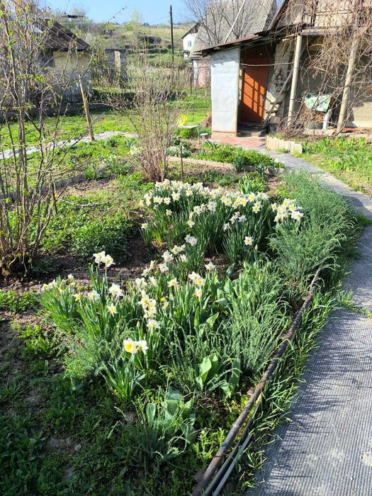 Продам дачный домик с участком в пригороде Алматы