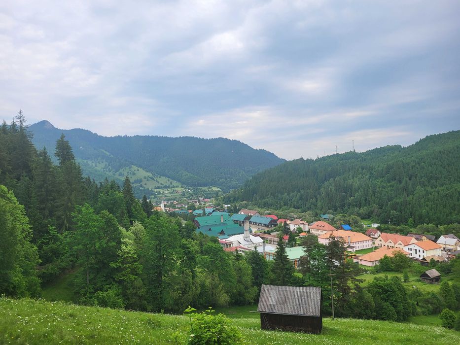 Teren extravilan păsune impadurita