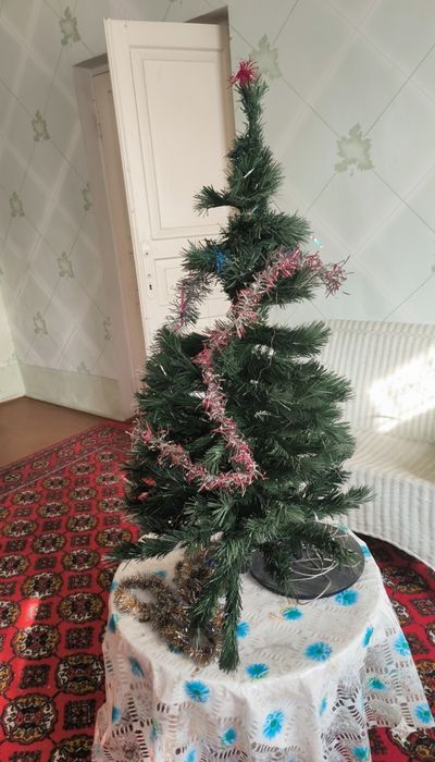 Большая и маленькая ёлка