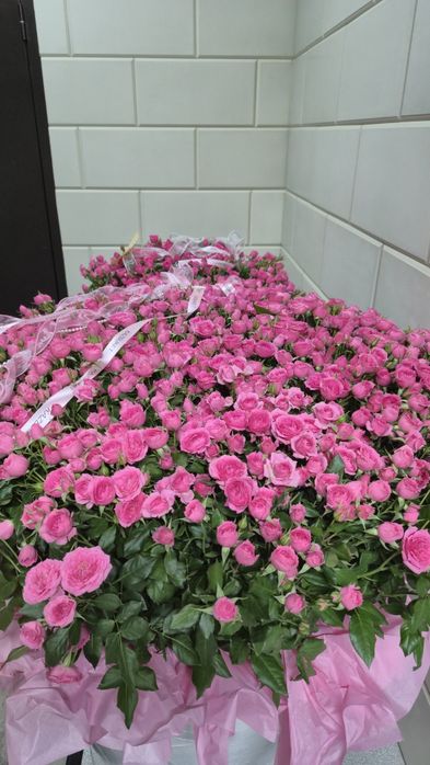 Цветы кустовые спрей розы
