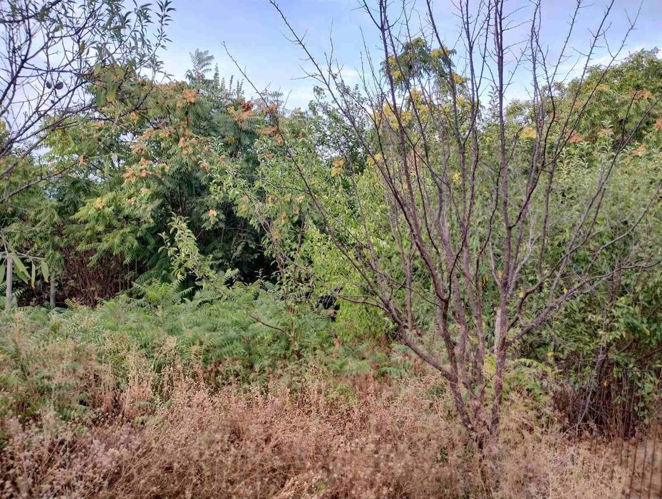 Продава се Къща в с. Ябълково, Област Хасково - 70 кв.м за 437 €/кв.м - Снимка #1