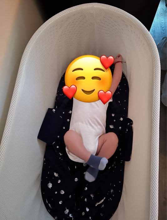 Snoo smart кошара