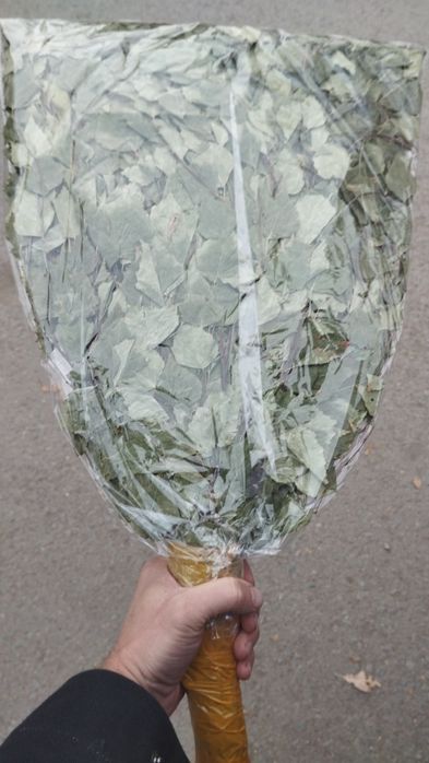 Березовый веник.