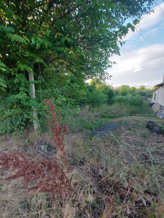 Продава се Парцел в Търговище, Въбел - 466 кв.м за 39 €/кв.м - Снимка #2