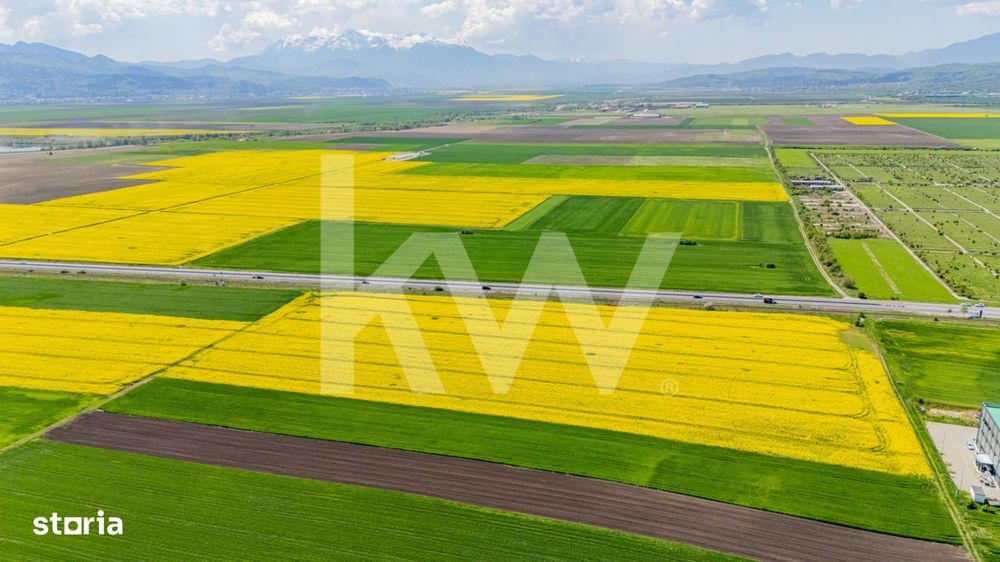 Teren 10.600 mp in Codlea – ideal pentru investitie industriala