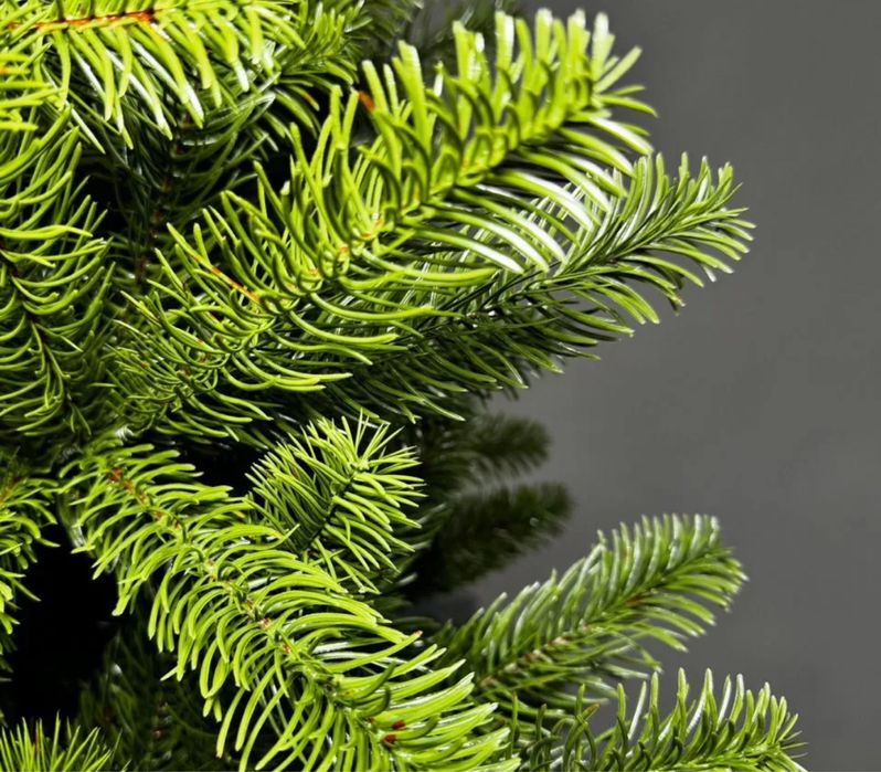 Ель «Эстетика» 155 см