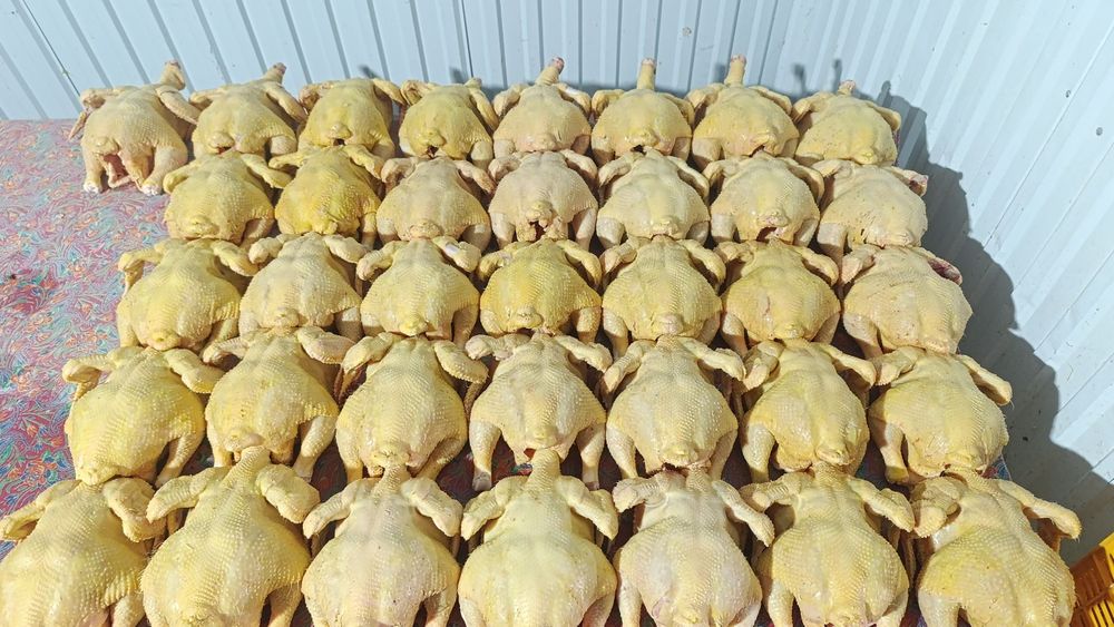 Куры бройлера домашняя