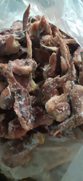 Для собак крылья куриные