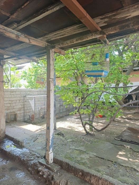 Uchstka sotiladi 4.61 sotx