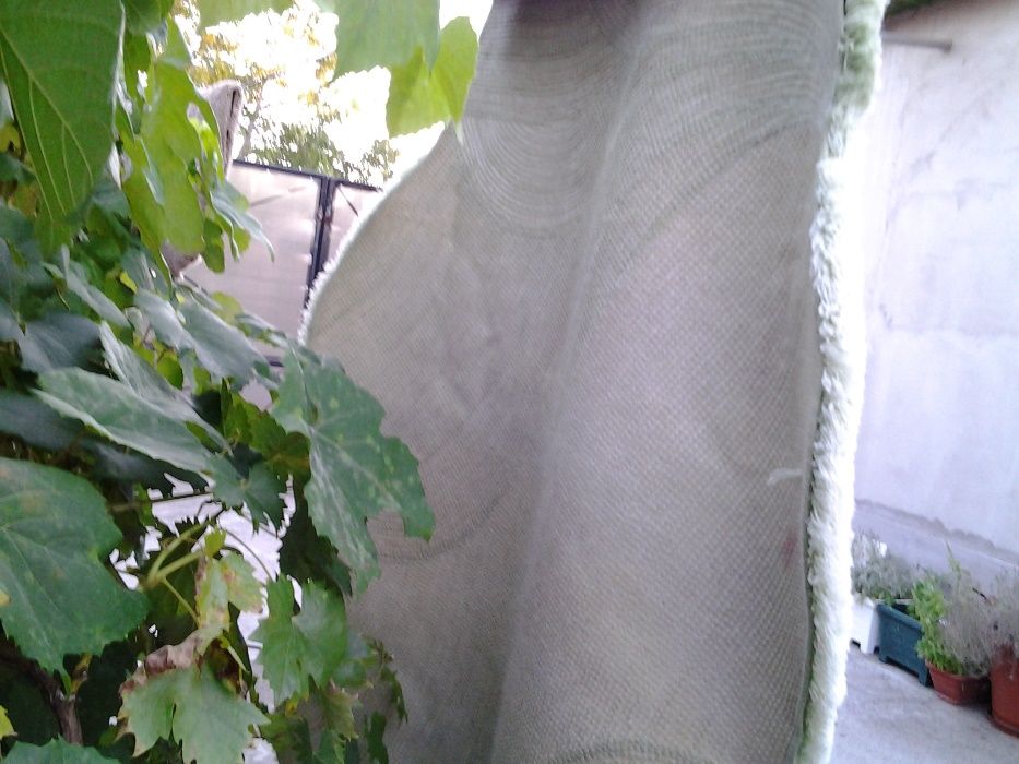 Batex | covor mic 160*92 cm