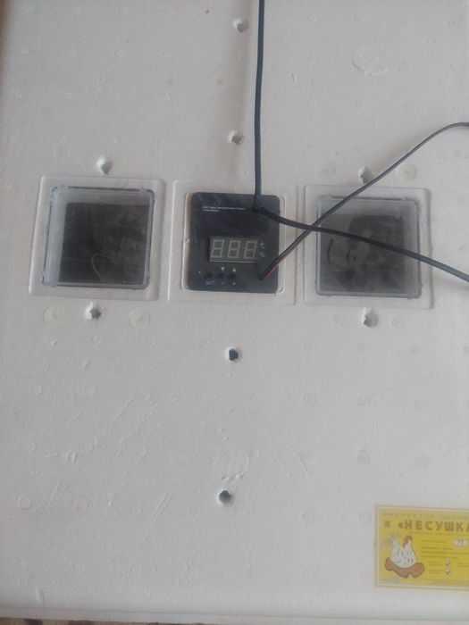 Инкубатор  Инкубатор