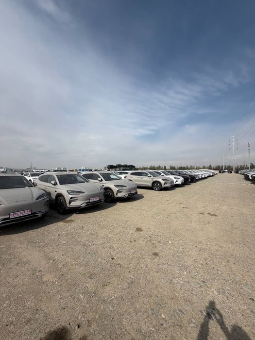 Byd champion smart 2026 фулл позиция