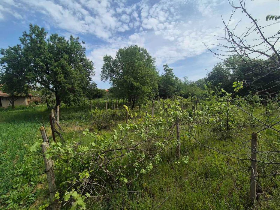 Продава се Къща в с. Бреница, Област Плевен - 145 кв.м за 113 €/кв.м - Снимка #13