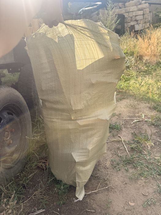 Продам дрова сосна
