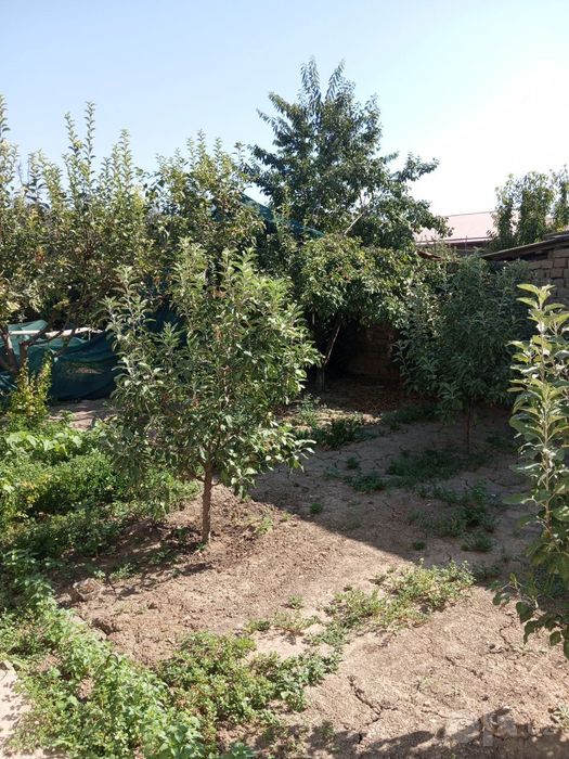 Yer sotiladi Qibray tumani o'ngqo'rğon maxallasi 4 sotix srochna