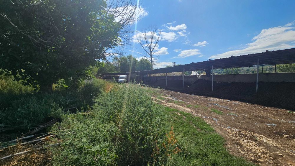 Продава се Парцел в с. Ушинци, Област Разград - 4169 кв.м за 29 €/кв.м - Снимка #2