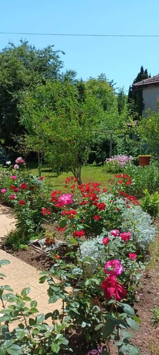 Продава се Къща в Шабла - 300 кв.м за 517 €/кв.м - Снимка #22