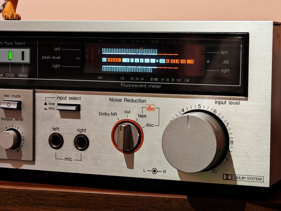 Technics RS-M228X cu  DBX. Un vintage frumos și elegant. Preț fix !