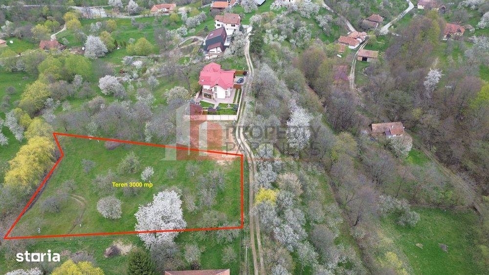 Teren Premium În Bran – Sohodol | 3000 Mp Cu Panoramă Excepțională
