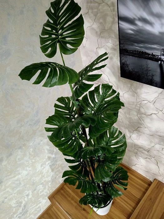 Суний гуллар ва дарахтлар муддатли ту́ловга