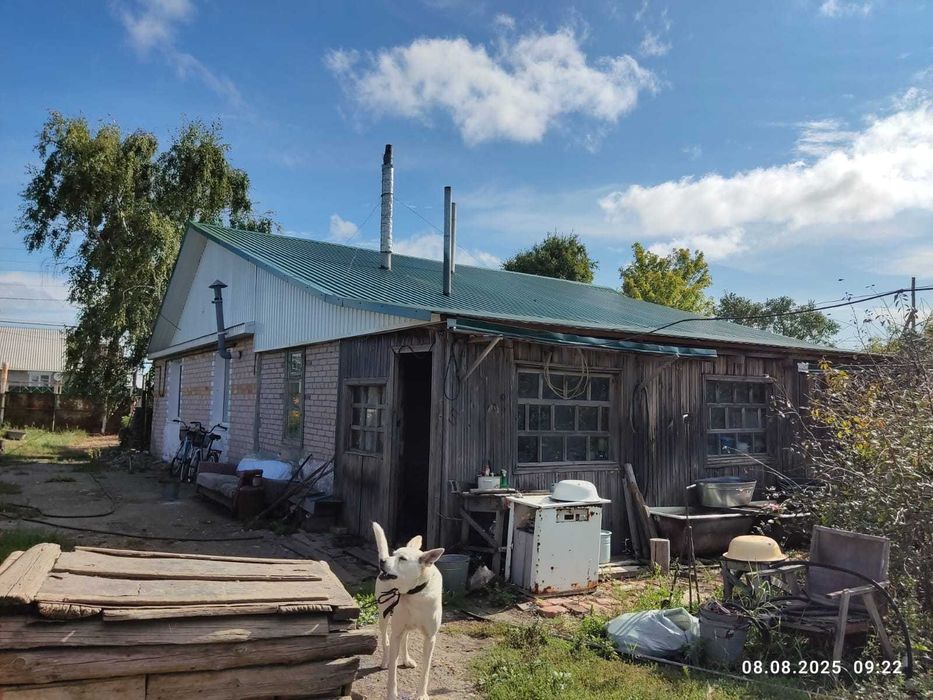 Ақша үшін қарт әйелдерді алдап жүрген пикаптың порно видеосы