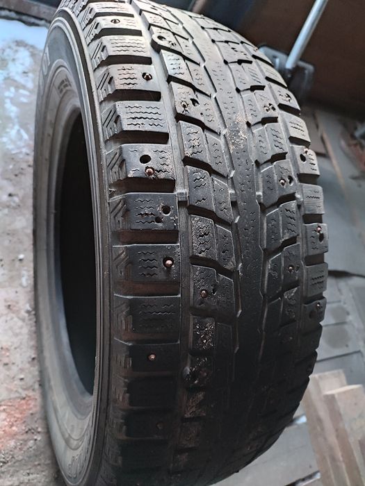 Нокиан, Данлоп зимняя