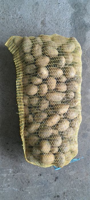 Продавам семе сорт сорая