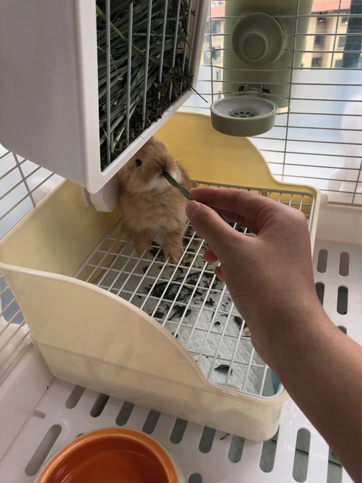 Siz erisha olmagan, bolalikni farzandingizga bering