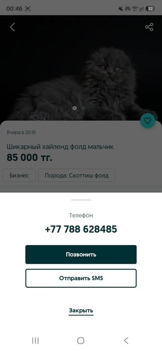 Британские прекупы осторожно