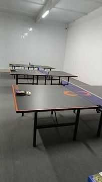 г. Стол теннис stol tennis Ping Pong  1