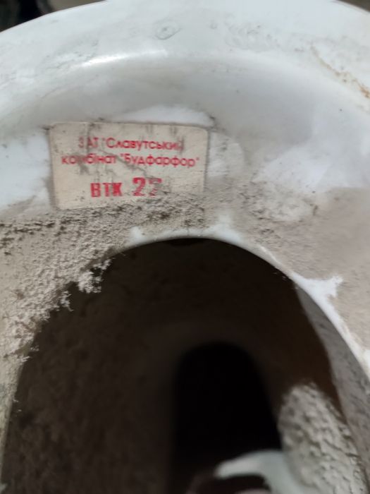 Раковина тюльпан