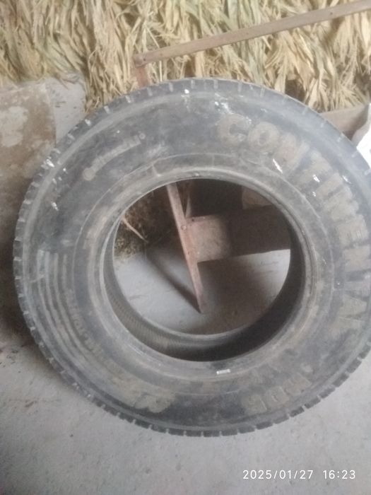 Holati ideal kami bor