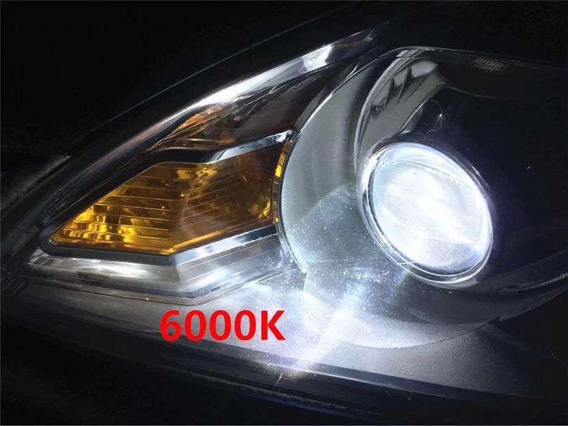 Bec/becuri D1S 4300k,5000k,6000k,8000k Noi