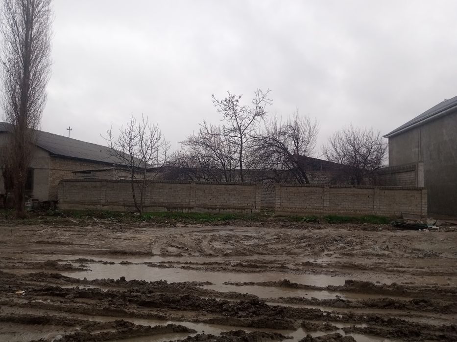 Uchastka arendaga beriladi