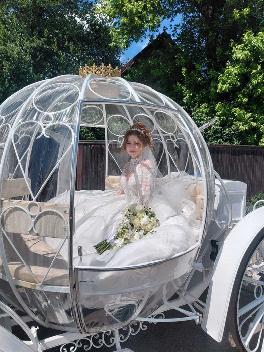 Trasura  Cai Caleasca Filmari Nunta Mireasa Album Nunta  FotoVideo  Elegant Cai