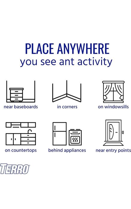 Средство от меравьев в доме