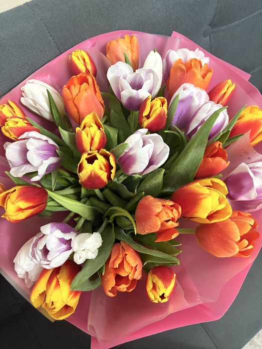 Гүл, Цветы, Тюльпаны 31штук Келісеміз
