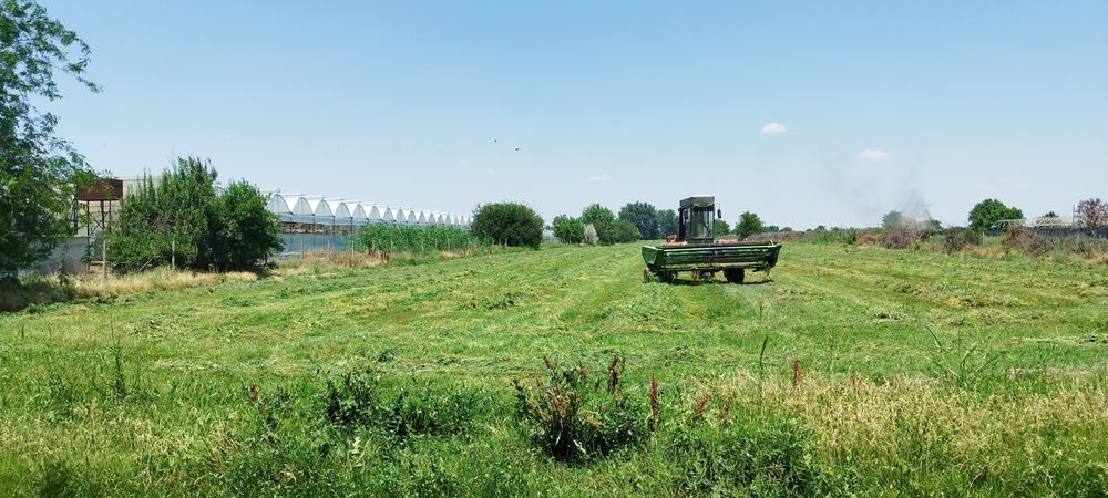 Поле Участо  2га