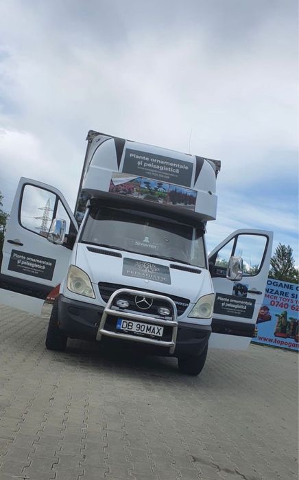 Mercedes-Benz Sprinter 319/2014 3.0 CDI 190 CP Cat B