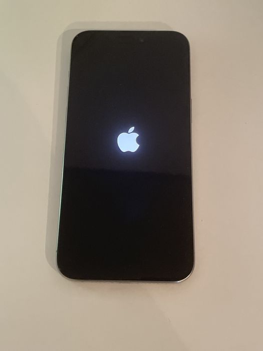 iPhone 15 pro max 256GB