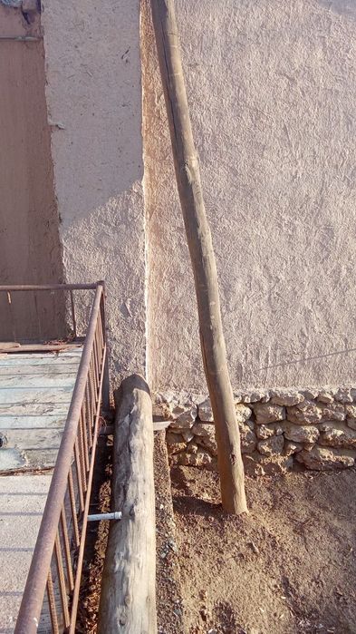 Ag'ash shop qada satiladi