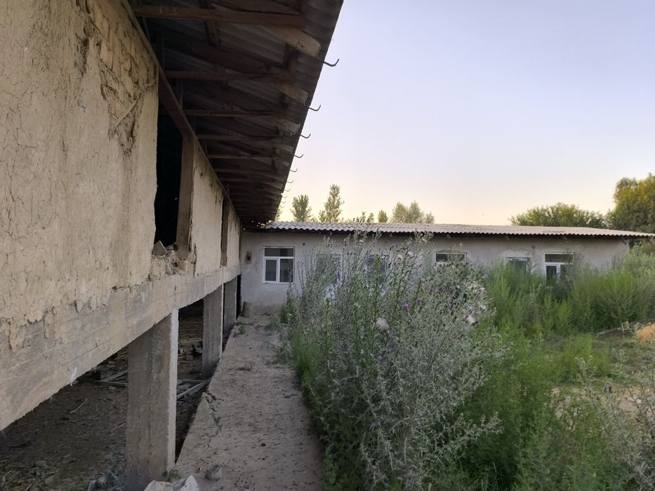 Вилла куриш учун мулжалланган 20 сотих бог девор уралган