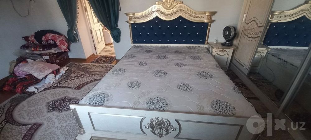 Двухспални сотилади