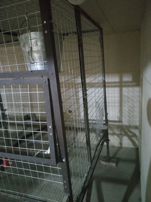 parandalar uchun qafas