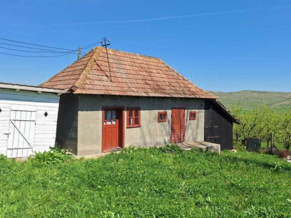 Vând sau schimb cu garsoniera casă în Ceanu Mare(Valea lui Cati)