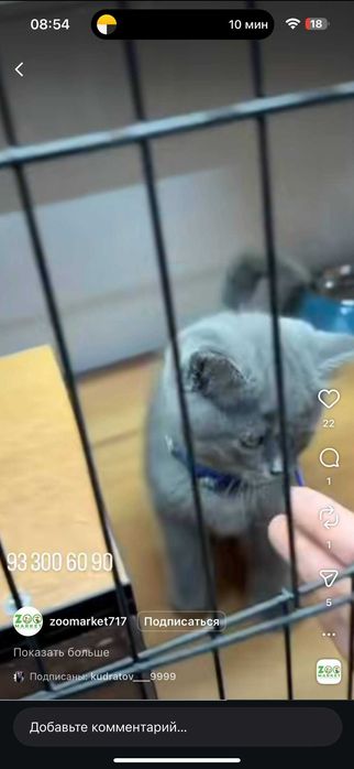 Квартира 118 м2 с балконом в ЖК Akay City, метро Х.Олимжана