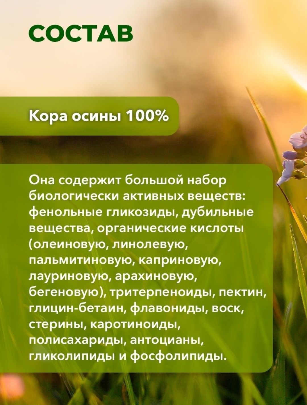 Кора осины 100 гр.: 1 800 тг. - Продукты питания / напитки Караганда на Olx