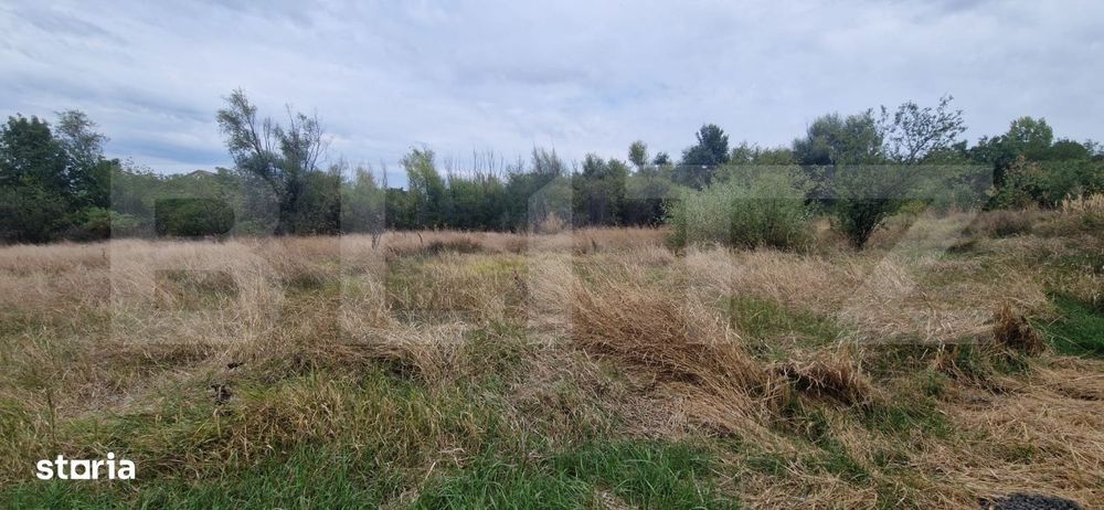 Teren intravilan, 6850 mp, Simnicul de sus