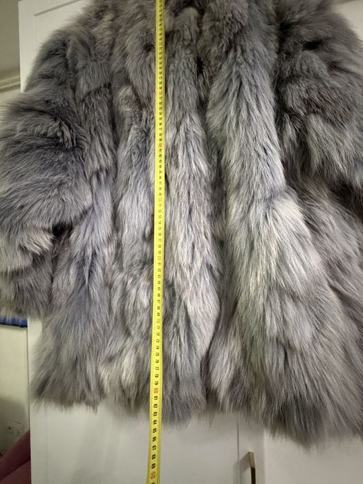 Hsins blana vulpe polara