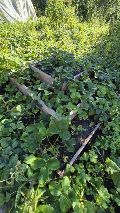 Продам дачу район Самсоновки